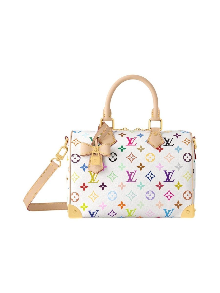 Louis Vuitton Speedy 25 Bag