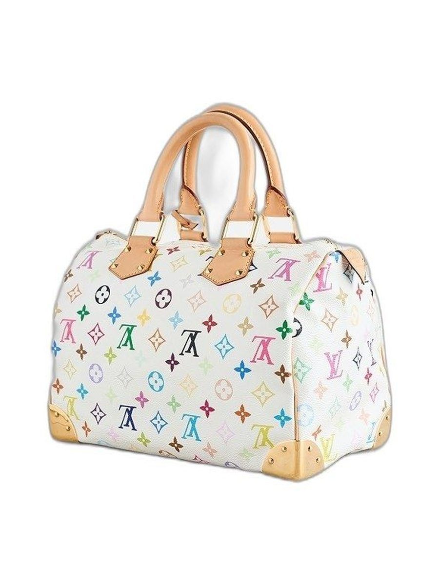 Louis Vuitton Speedy 25 Bag