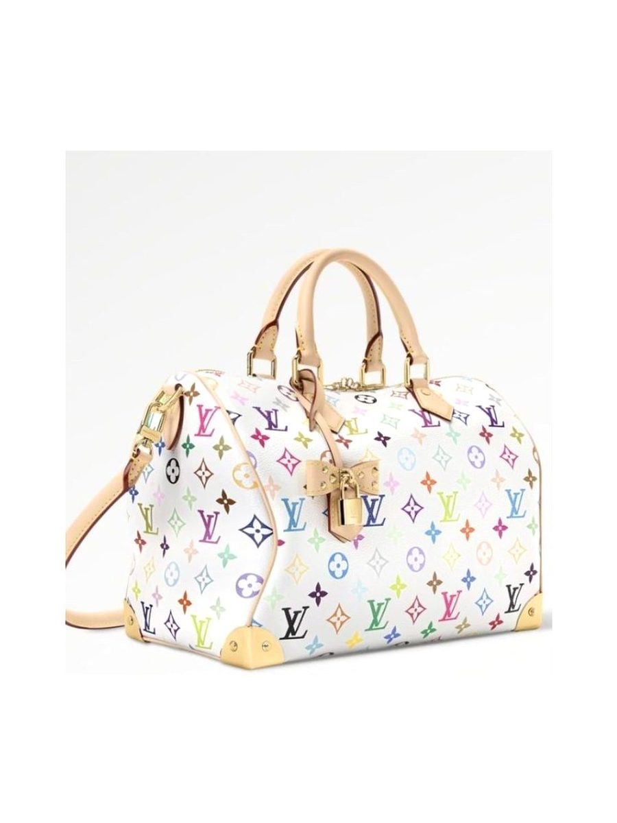 Louis Vuitton Speedy 25 Bag