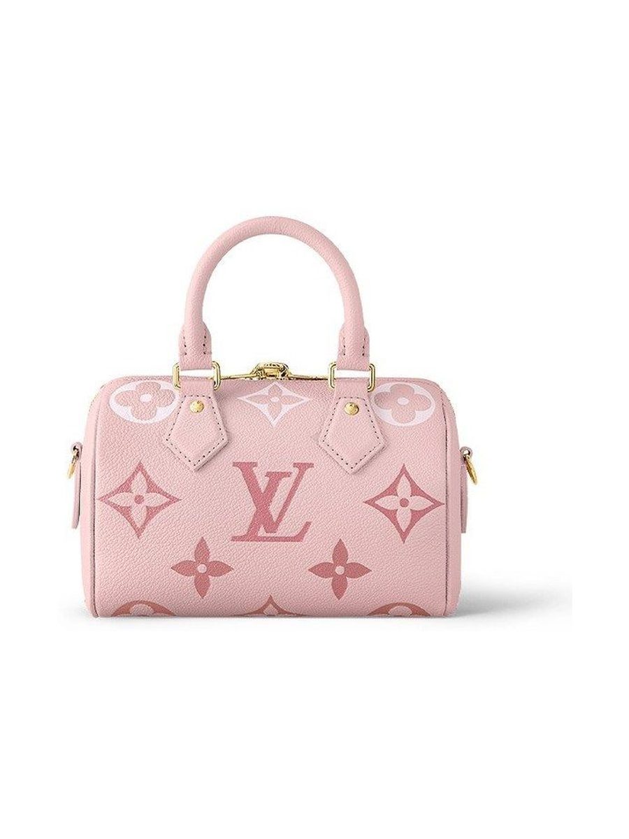 Louis Vuitton LV speedy 20