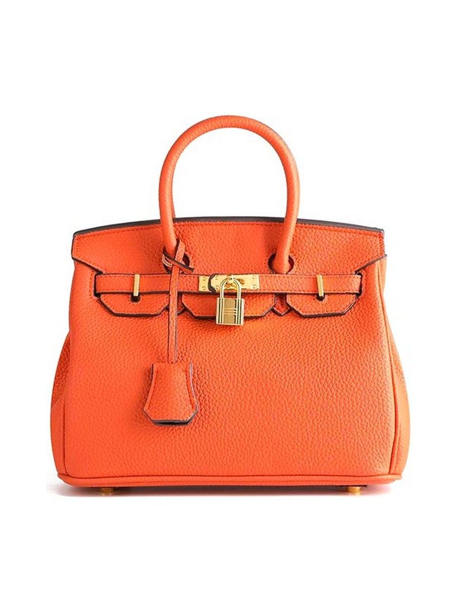 Birkin 30 Togo Handbag